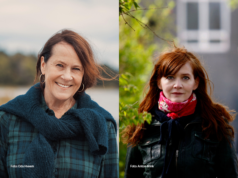 Meet the Nordic queens of the relationship novel!
